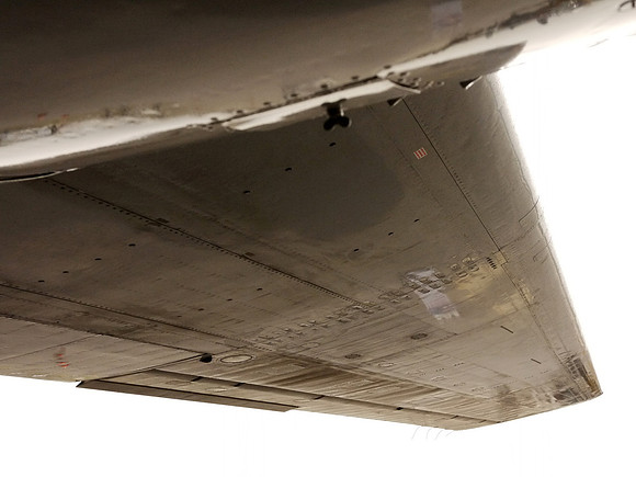 Wing 3