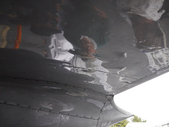 Wing Reflection