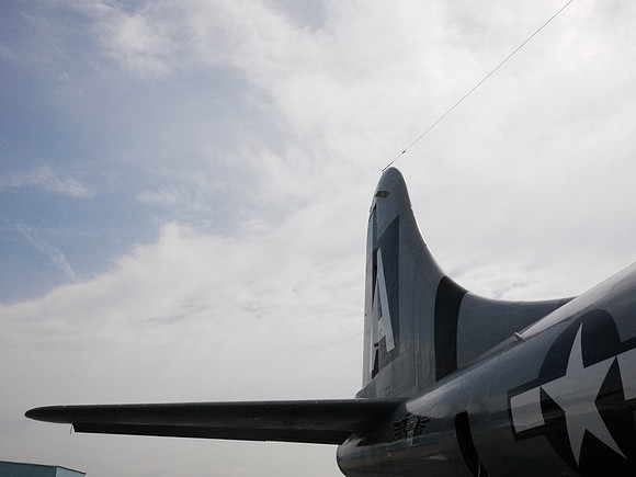 Wing Tail