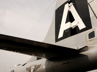 Tail Wing