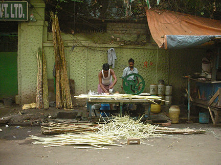 Cane Cutter